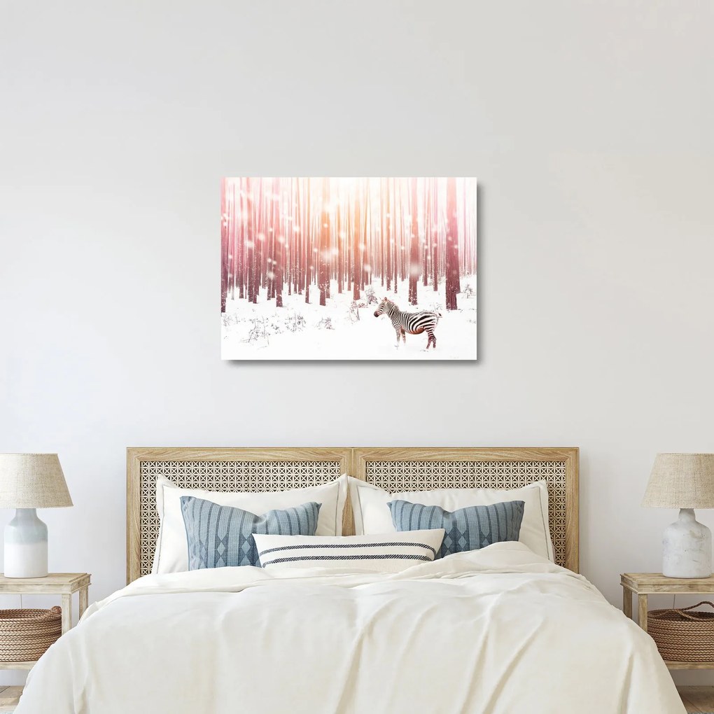 Sklenený obraz - Zebra v zasneženom lese (70x50 cm)