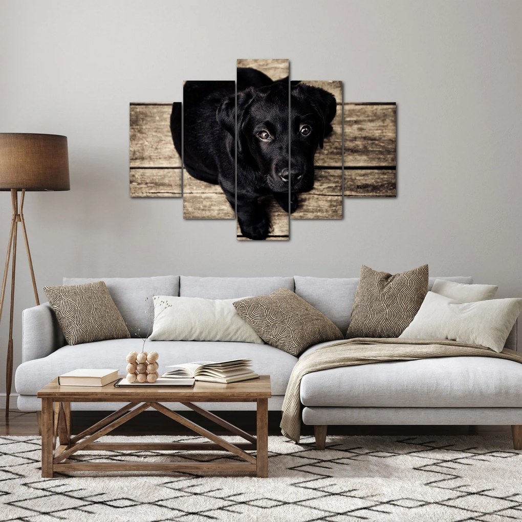 Obraz čierneho šteňaťa (150x105 cm)