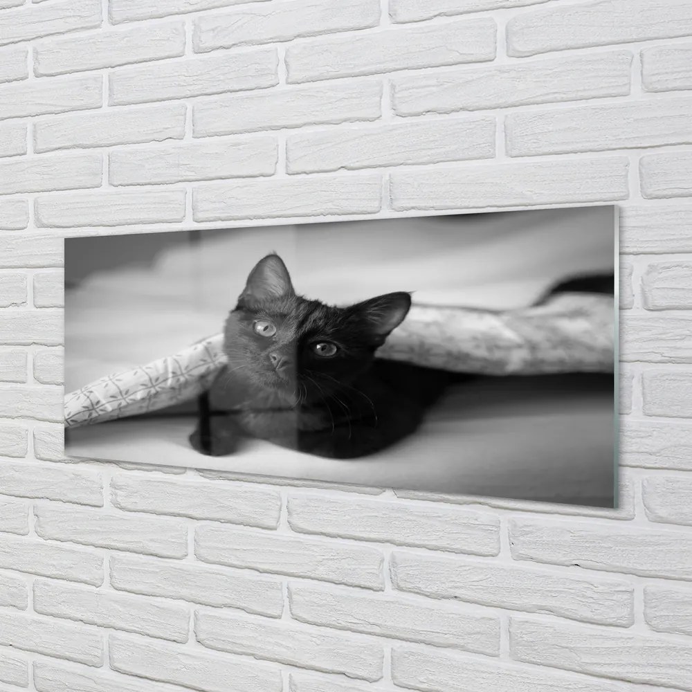 Obraz na akrylátovom skle Mačka pod prikrývkou 120x60 cm