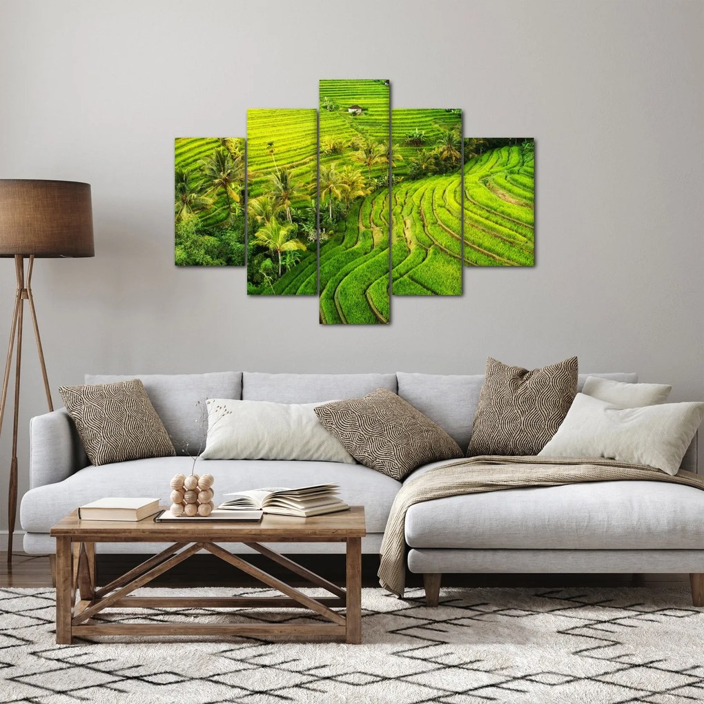 Obraz - Ryžové terasy (150x105 cm)
