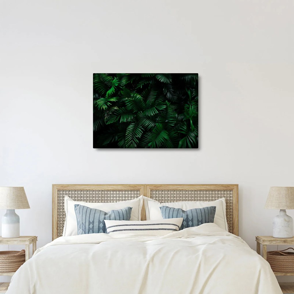 Obraz - Tropické papradie (70x50 cm)