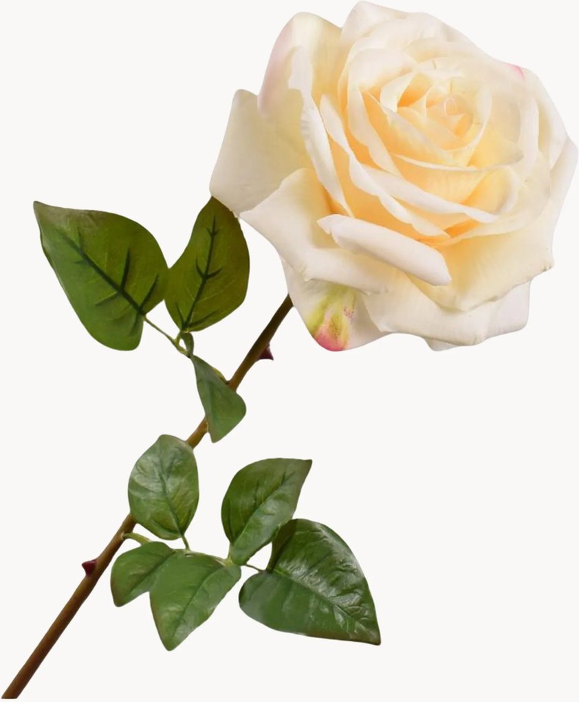 Rastlinné dekorácie Rose, 2 ks
