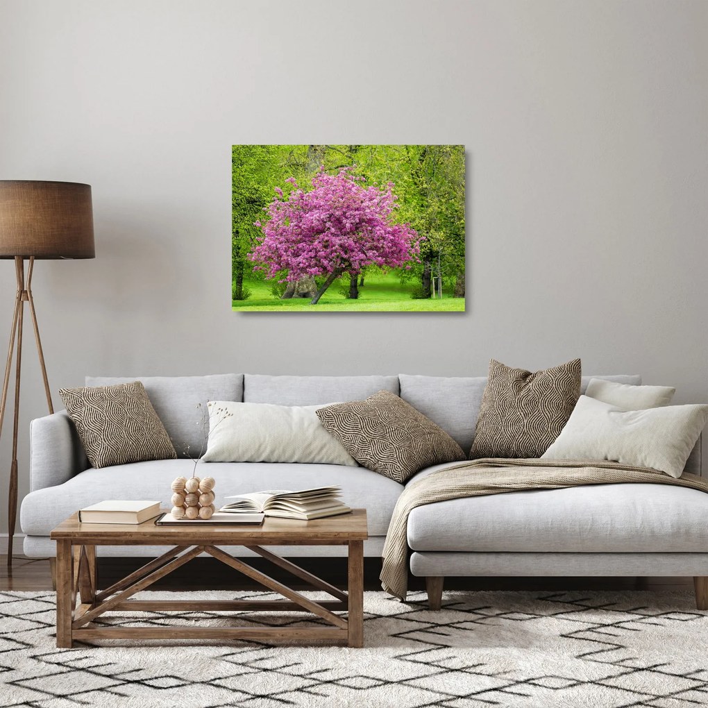 Sklenený obraz rozkvitnutého stromu na lúke (70x50 cm)