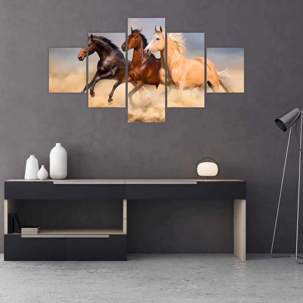 Obraz - Divé kone (125x70 cm), 40 ďalších rozmerov