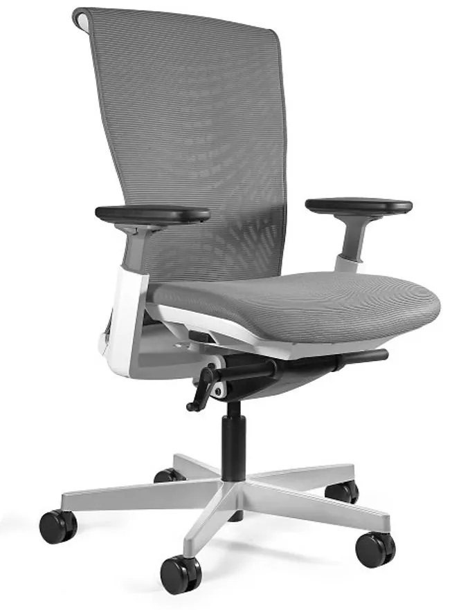 UNIQUE Ergonomické kancelárske kreslo Reya, sivé