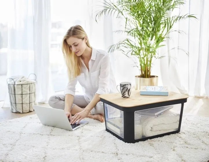 Úložný box ALBRIS, 45 l , čierny