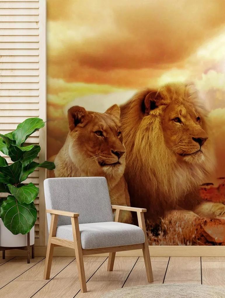 Fototapeta, Kočky lev pár zvířat - 150x210 cm