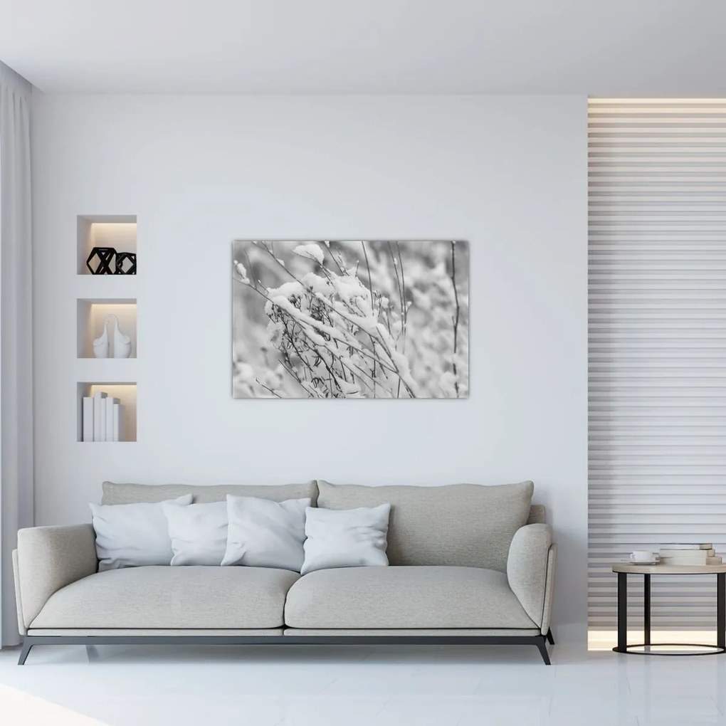 Obraz - Zasnežené vetvy (90x60 cm)
