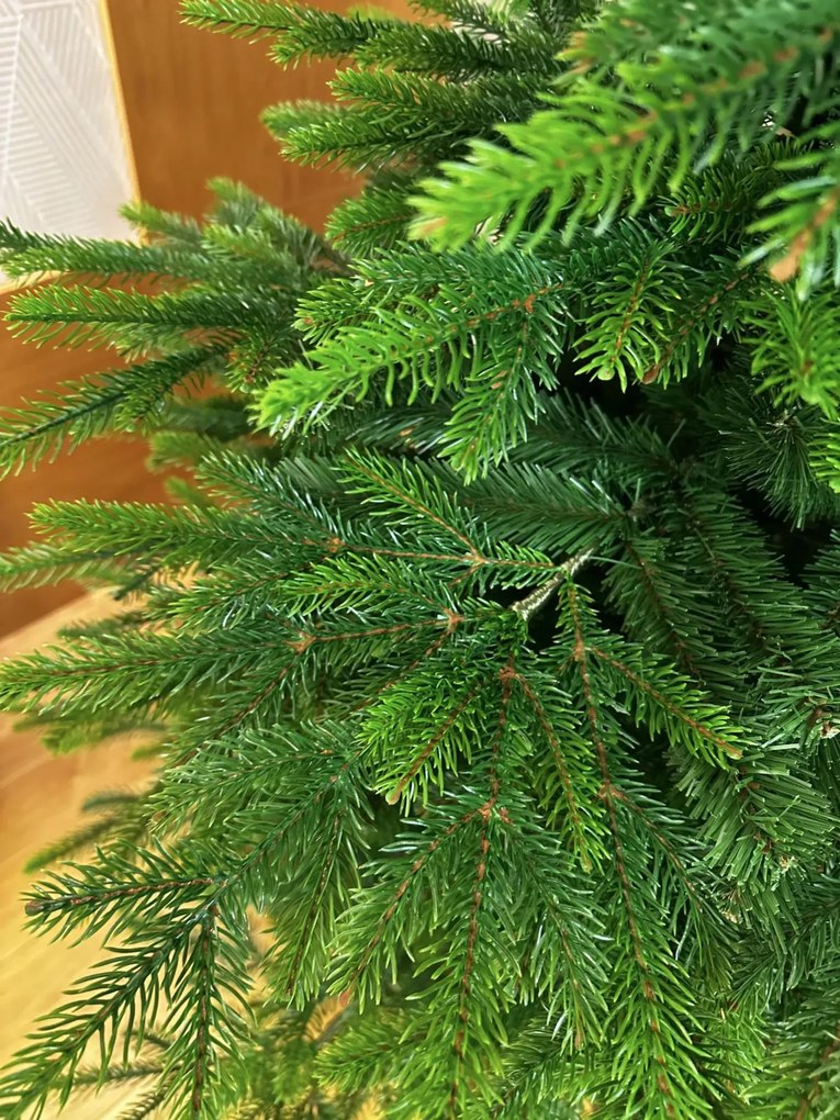 Smrek Kaukazský 3D- 220cm