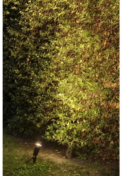 FARO 71528 - Vonkajšia lampa TONI 1xGU10/8W/230V IP65