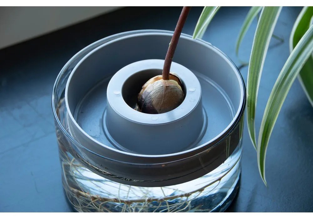 Sklenená klíčiaca miska ø 14 cm Avocado – Esschert Design