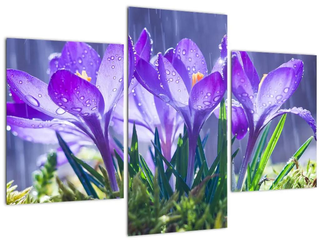 Obraz kvetov v daždi (90x60 cm)