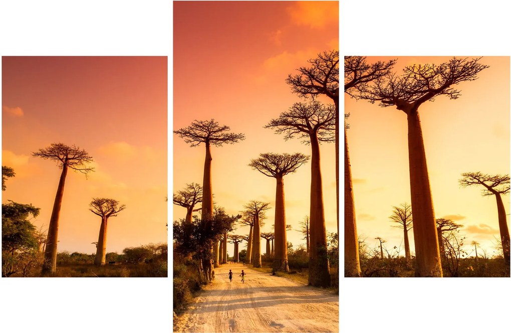 Obraz - Západ slnka v uličke Baobab (90x60 cm)