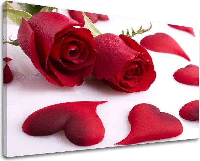 Obraz na stenu KVETY KV043E11 - 60x90 cm