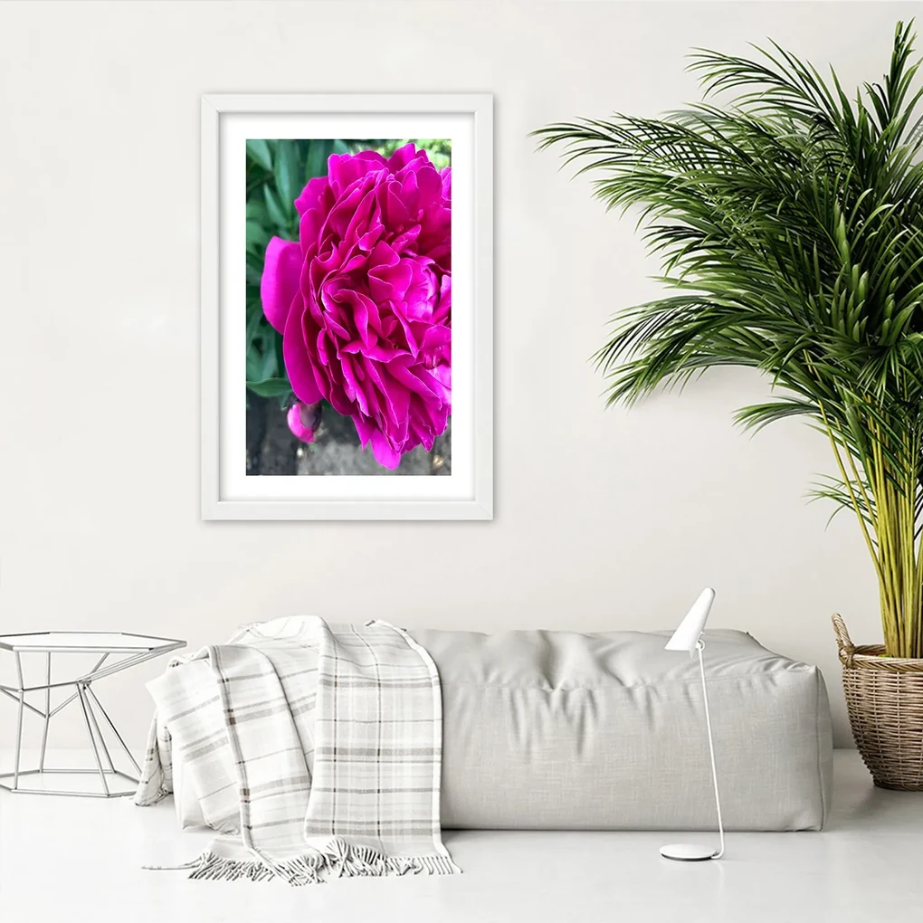 Gario Plagát Ružový veľký kvet Farba rámu: Bez rámu, Rozmery: 40 x 60 cm