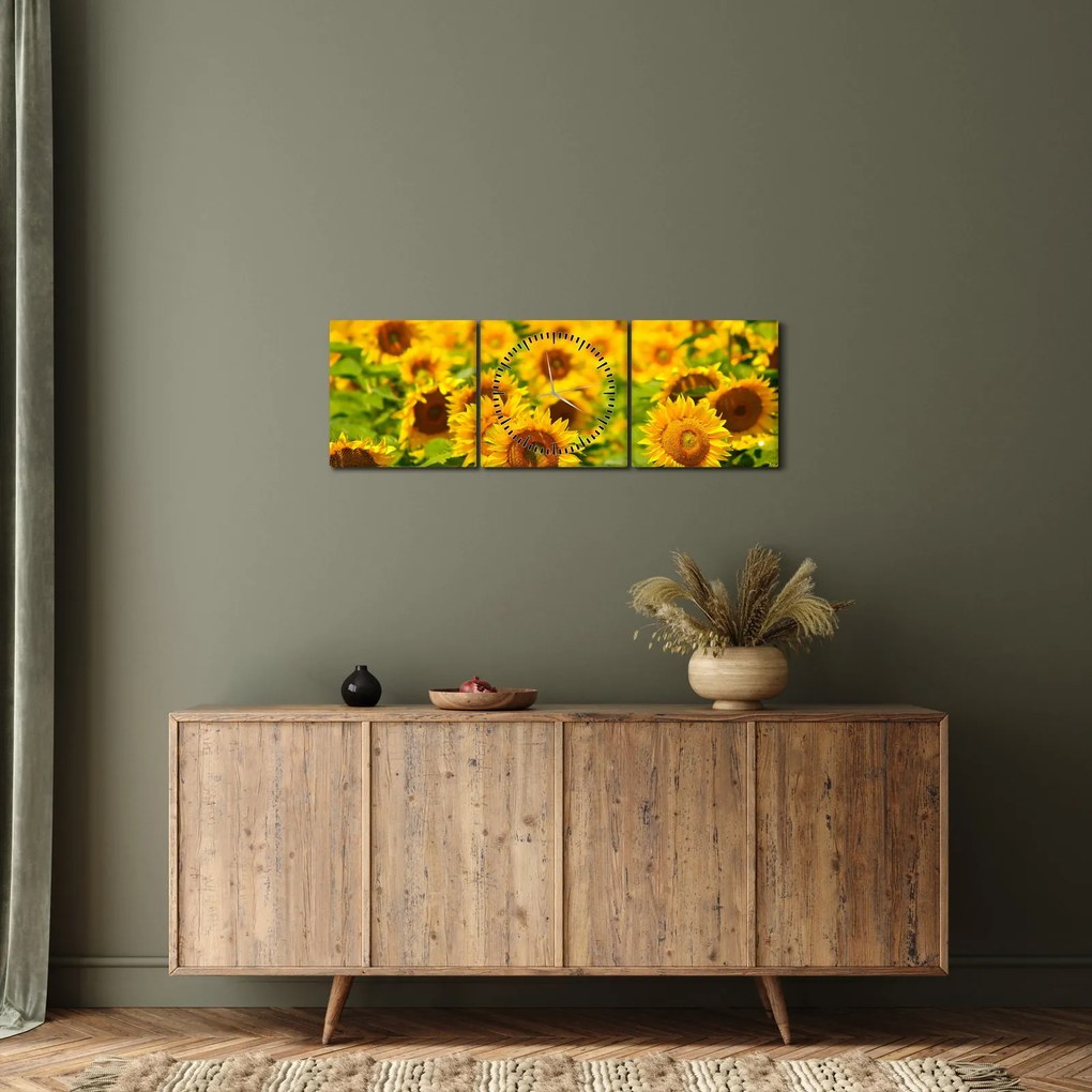 Obraz - Slnečnica (s hodinami) (90x30 cm)