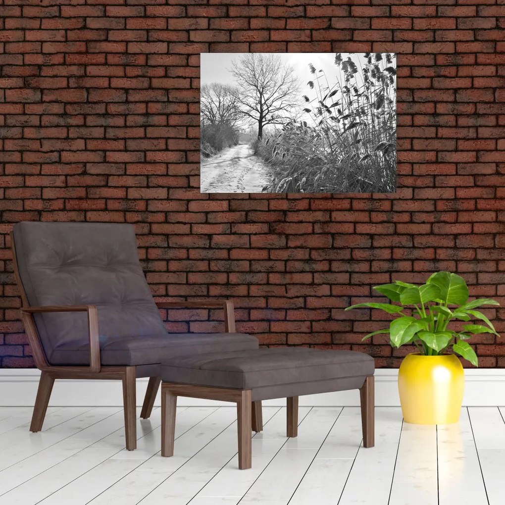 Obraz - Pole v zime (70x50 cm)