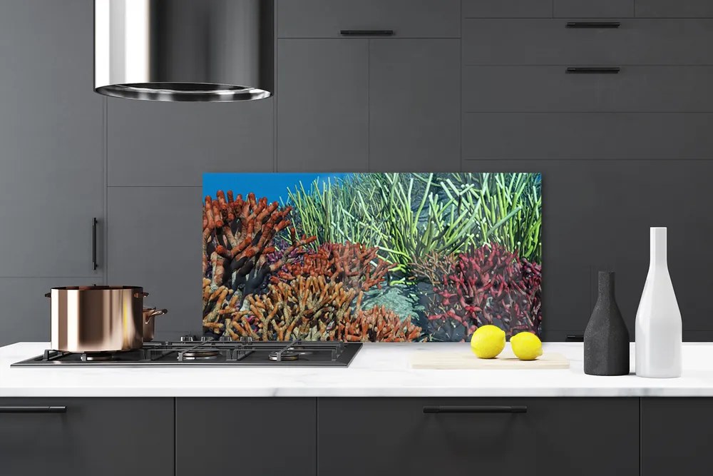 Sklenený obklad Do kuchyne Koralový útes príroda 140x70 cm