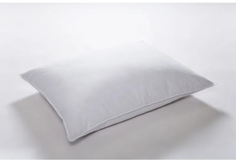 Páperový vankúš Cannstatter Pillow Premium - husacie páperie 70x90 cm