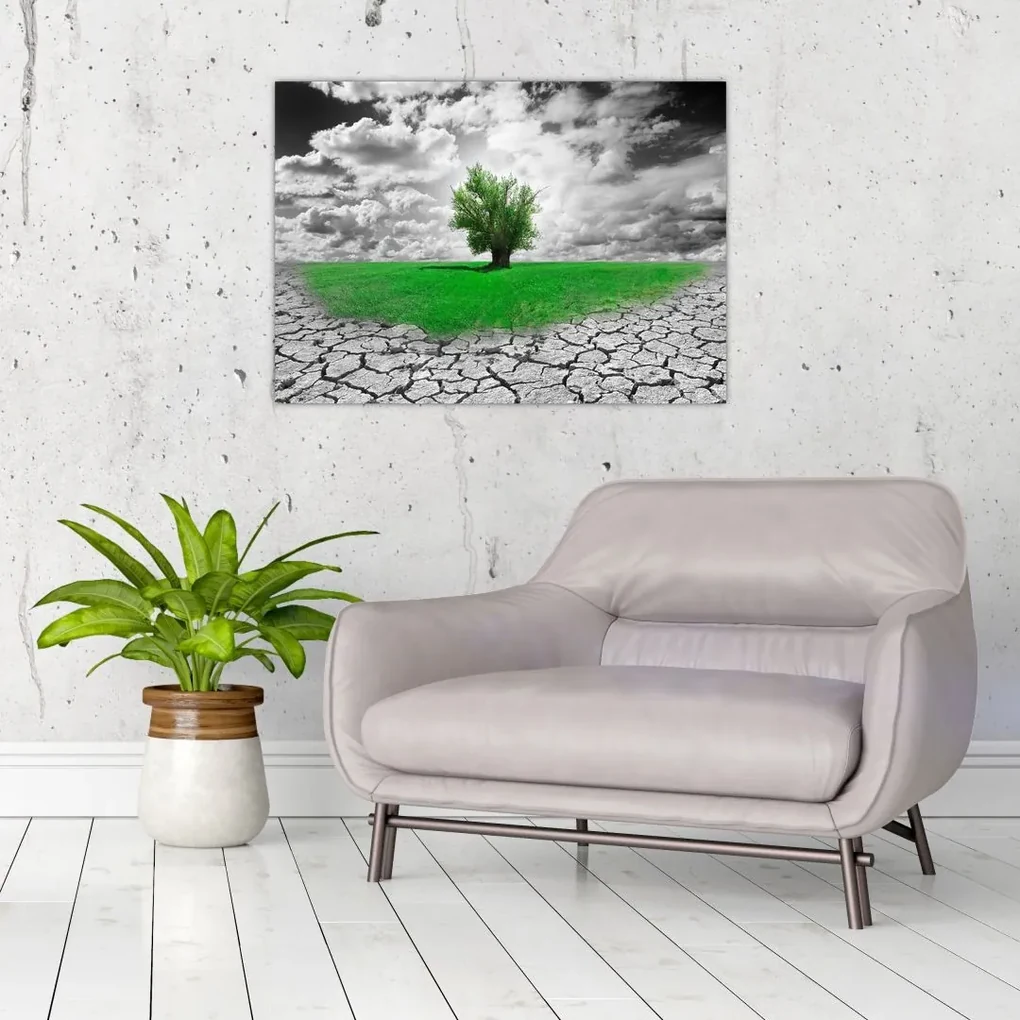 Obraz - Kus prírody v meste (70x50 cm)