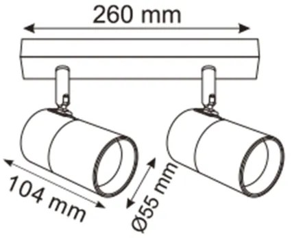 Zuma Line 2204BD-2-BK - Bodové svietidlo FORI 2xGU10/50W/230V čierna/zlatá