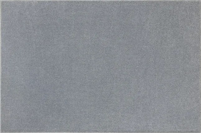 Koberec Himalaya 274 strieborný