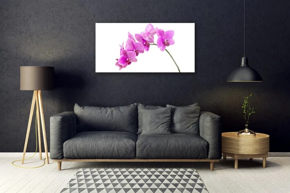 Skleneny obraz Vstavač kvet orchidea 120x60 cm