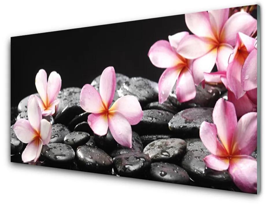 Obraz plexi Kvet kamene rastlina 100x50cm