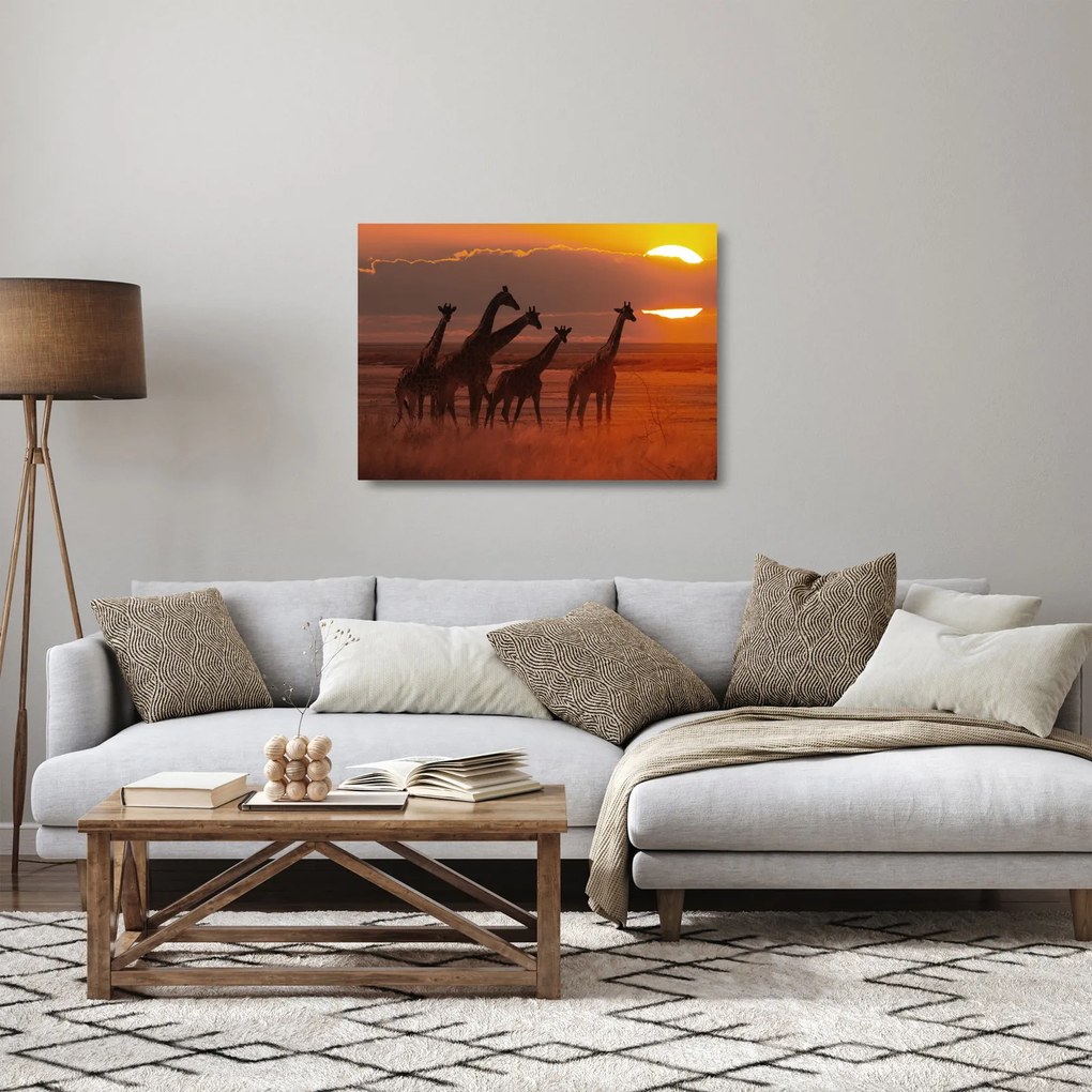 Sklenený obraz - Žirafy v africkej savane (70x50 cm)