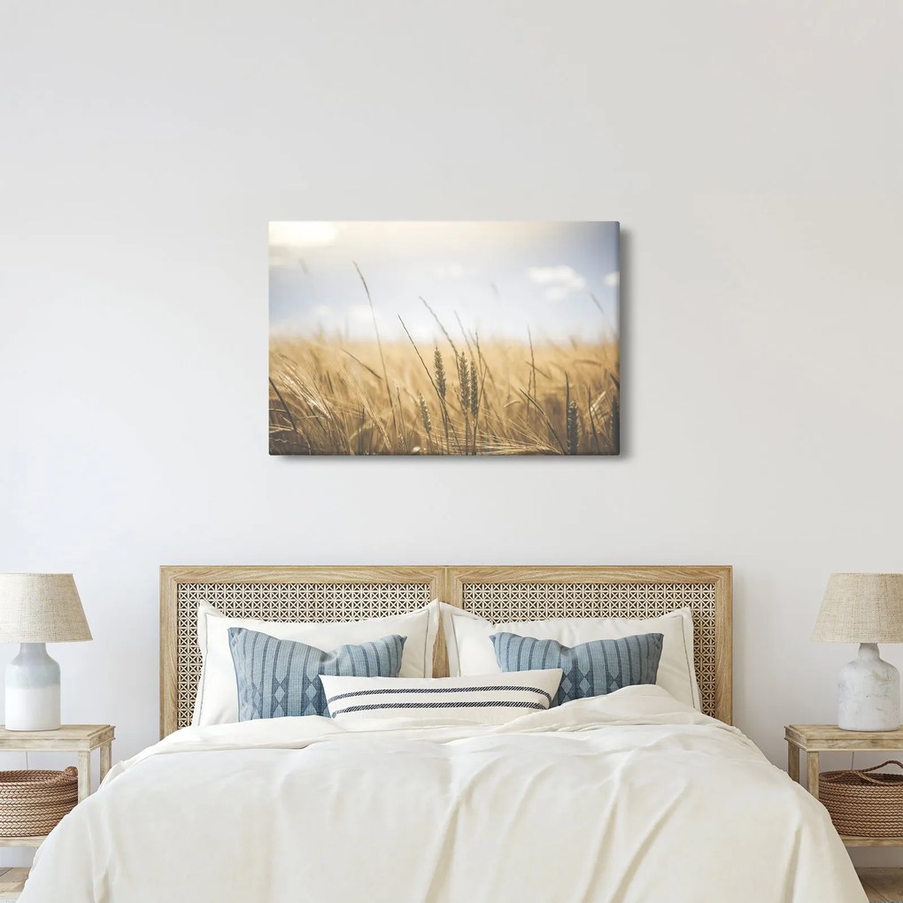 Obraz obilia (90x60 cm)