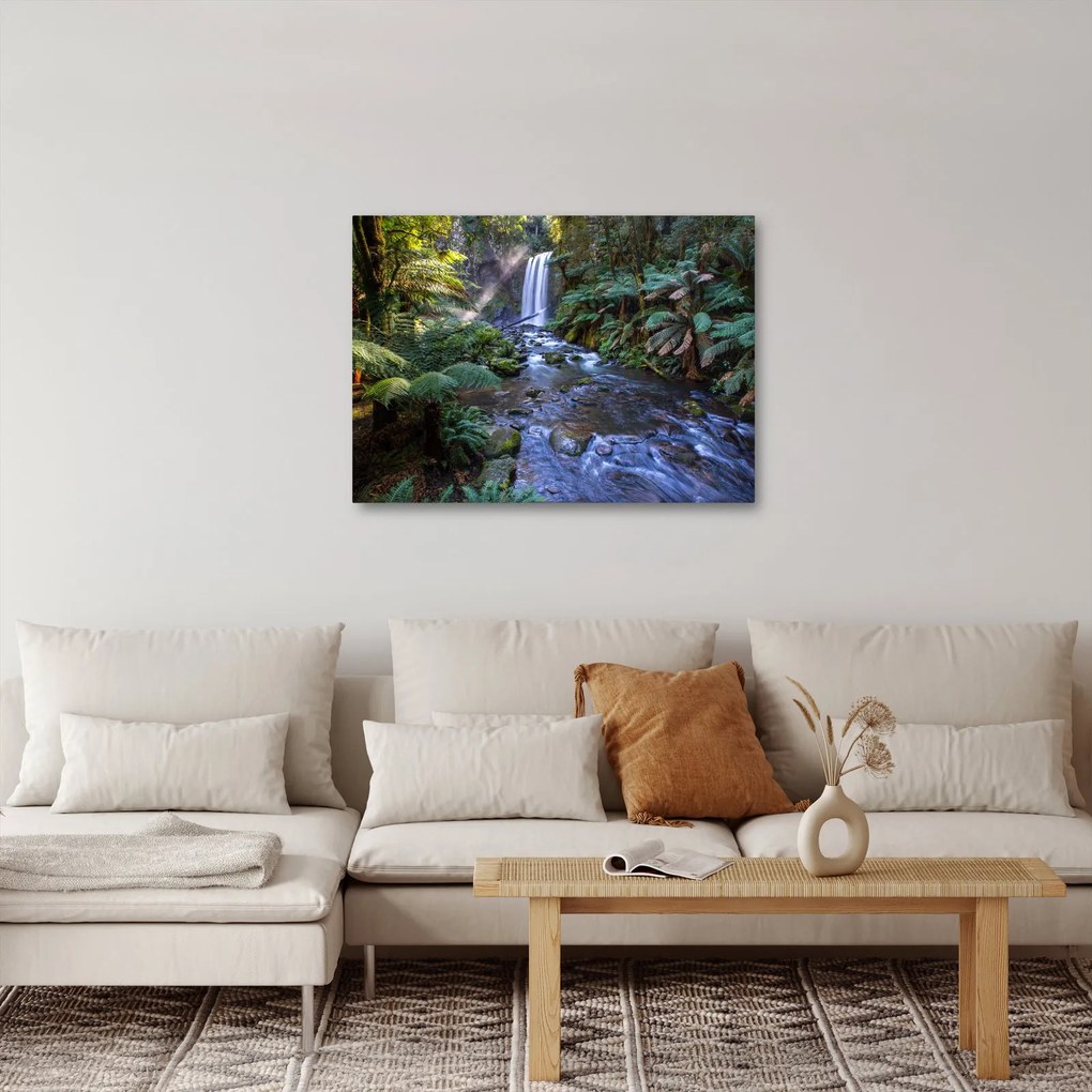 Obraz australského dažďového lesa (70x50 cm)