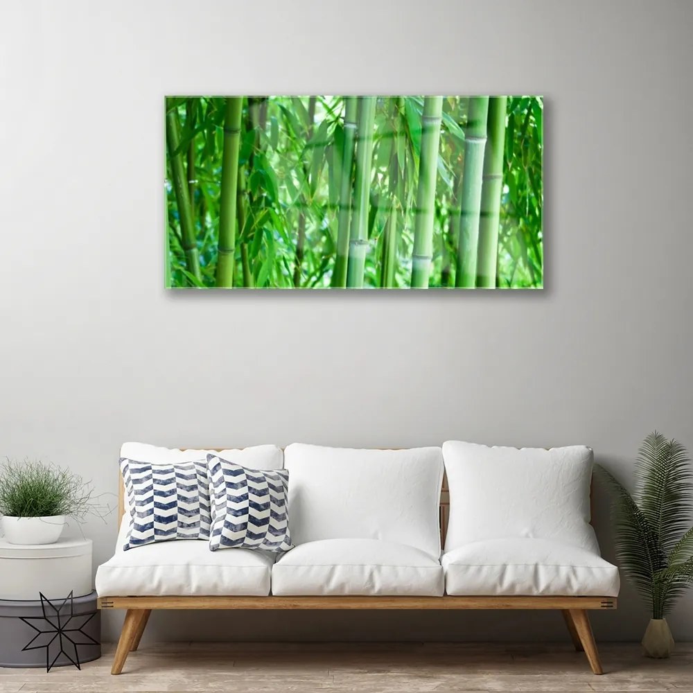 Obraz na akrylátovom skle Bambus stonka rastlina 100x50 cm