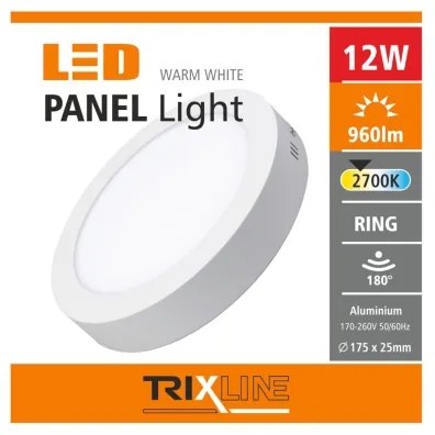 LED Stropné svietidlo LED/12W/230V