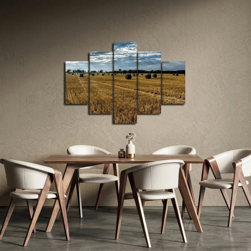 Obraz zozbieraného obilného poľa (150x105 cm)