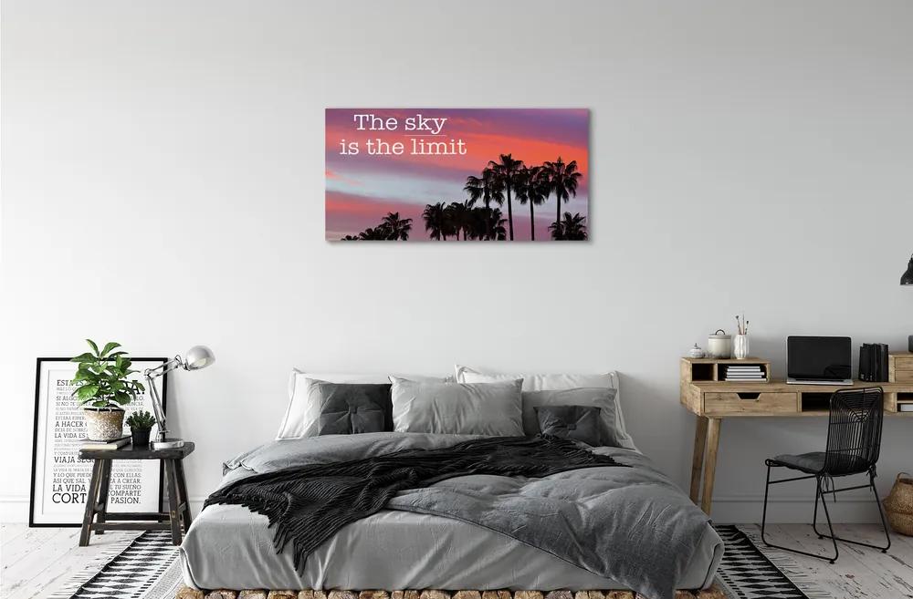 Obraz canvas Palm západu slnka 125x50 cm