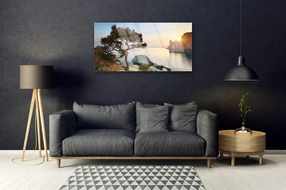 Skleneny obraz Jazero strom príroda 120x60 cm