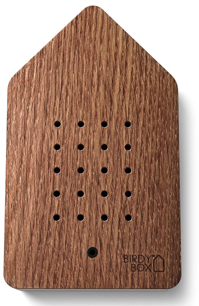 RELAXOUND Relaxačná zvuková dekorácia Birdybox Steamed Oak Wood