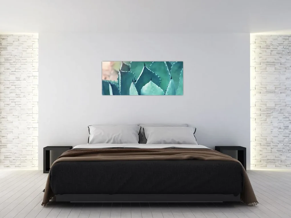Obraz - Sukulent (120x50 cm)