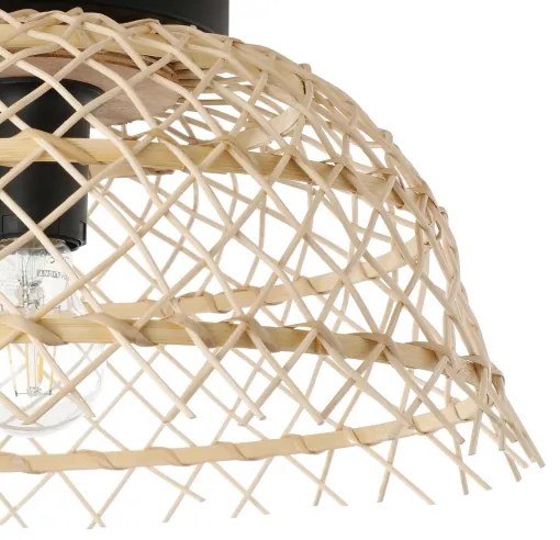 Eglo 43831 - Stropné svietidlo AUSNBY 1xE27/40W/230V