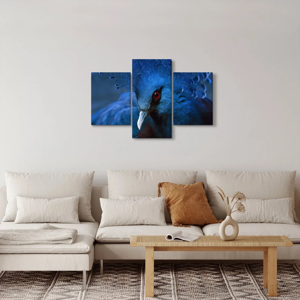 Obraz - Holub korunovaný (90x60 cm)