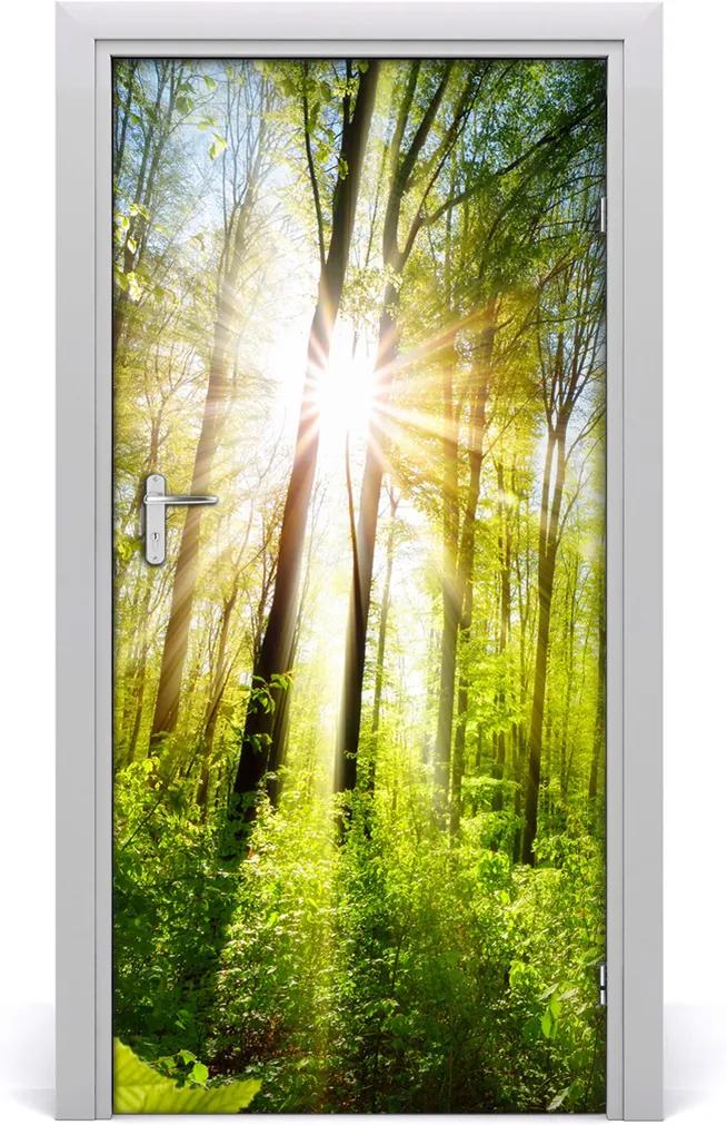 Fototapeta na dvere samolepiace  slnka v lese