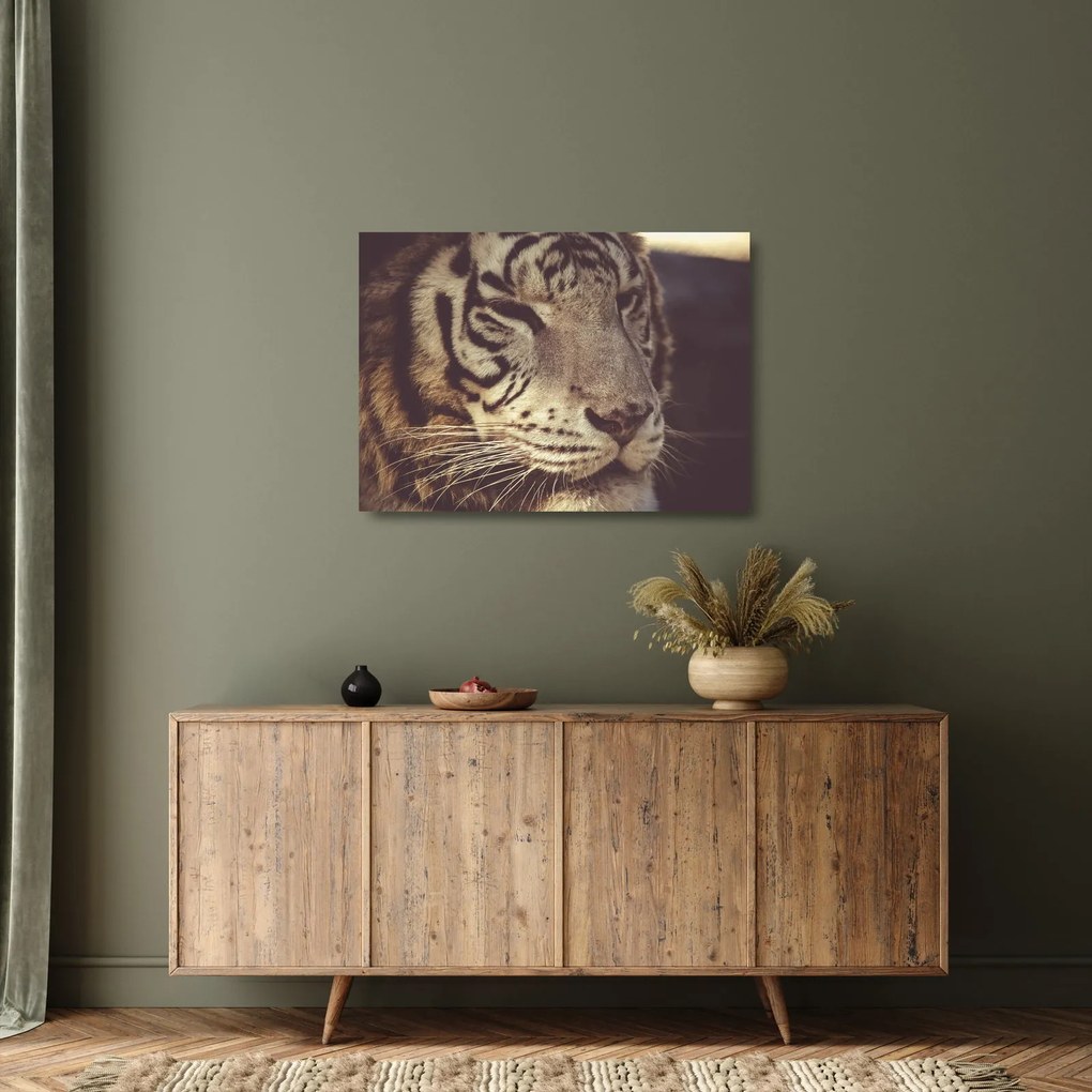 Sklenený obraz tigra (70x50 cm)
