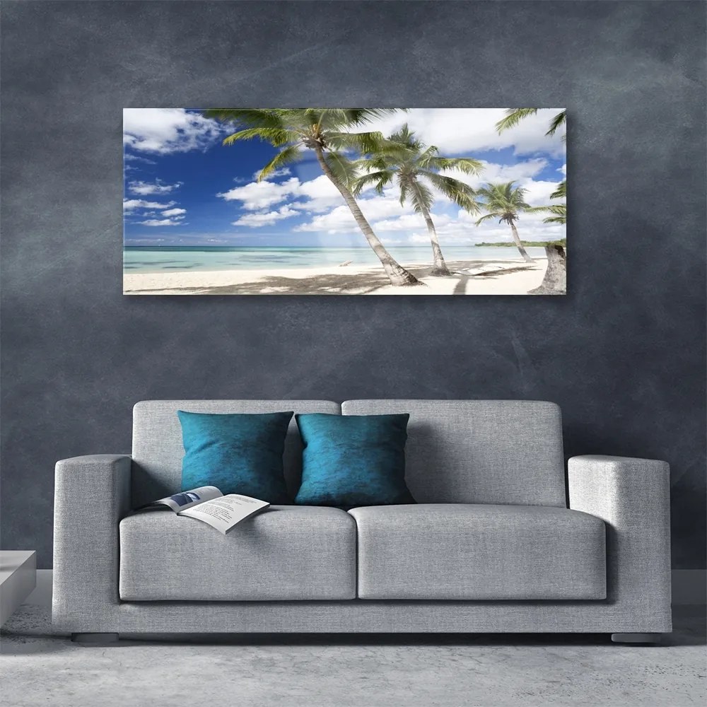Obraz na akrylátovom skle More pláž palma krajina 125x50 cm