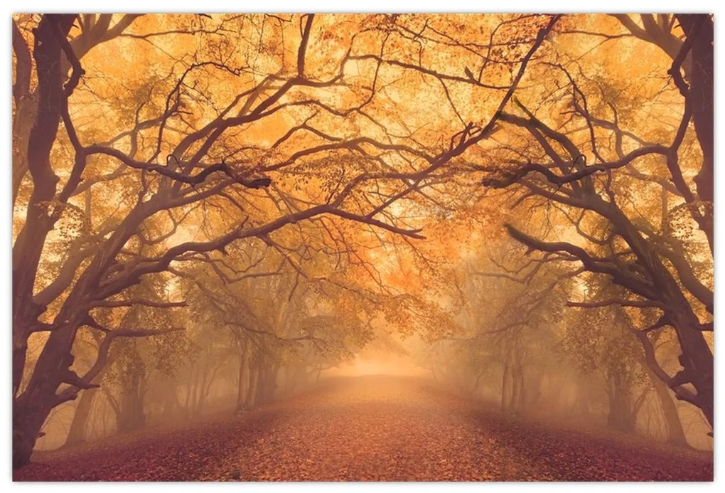 Obraz cesty v jesennej krajine (90x60 cm)