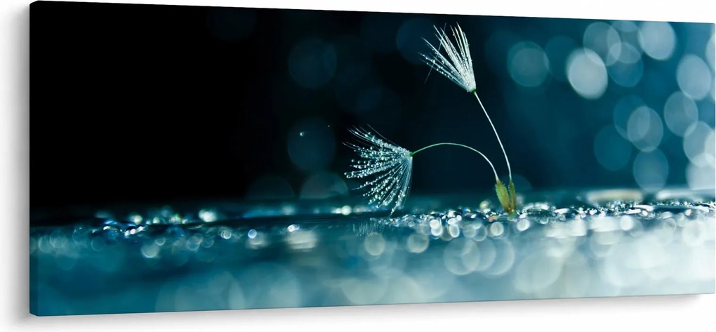 Obraz - Makro (120x50 cm)