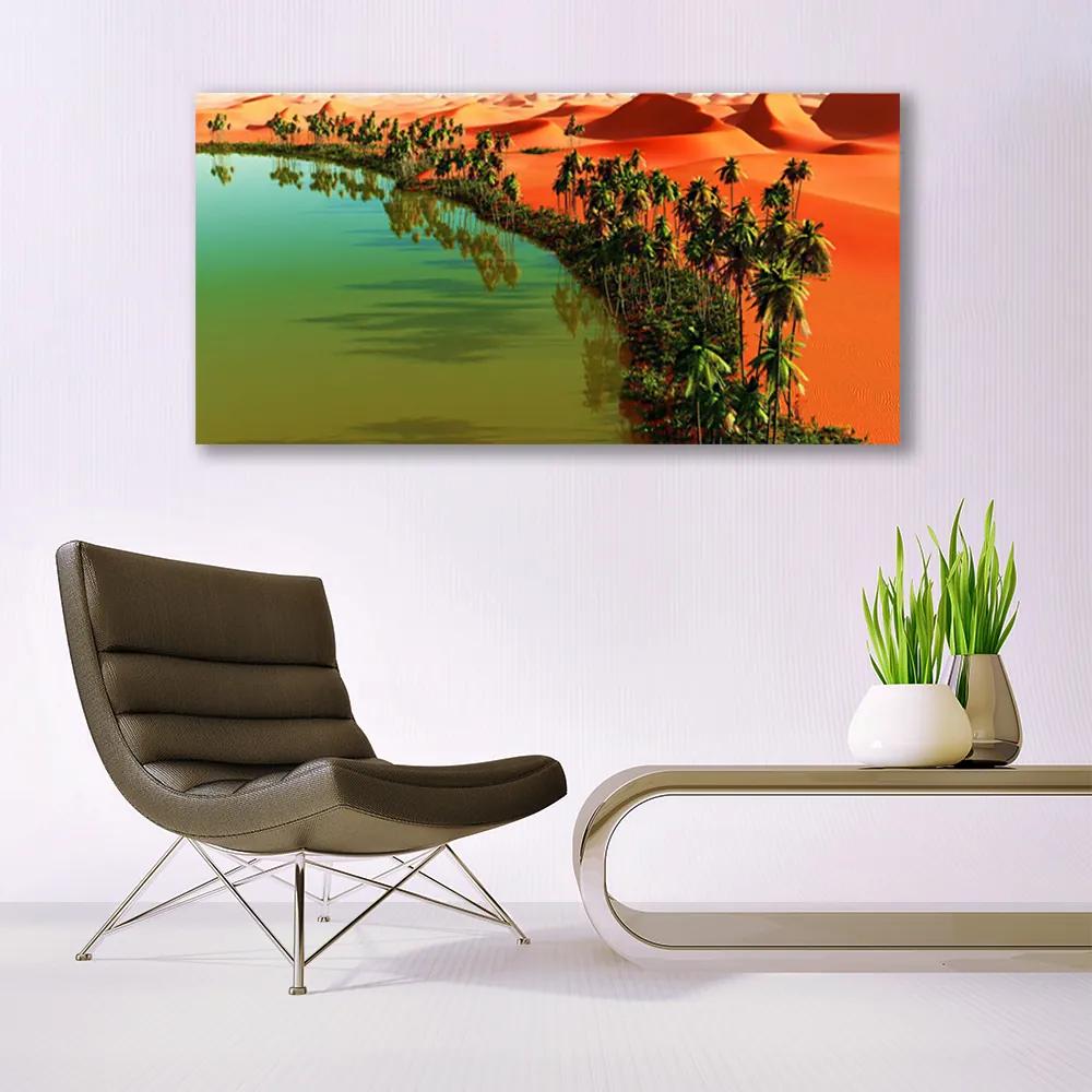 Obraz plexi Jazero púšť palmy 120x60 cm
