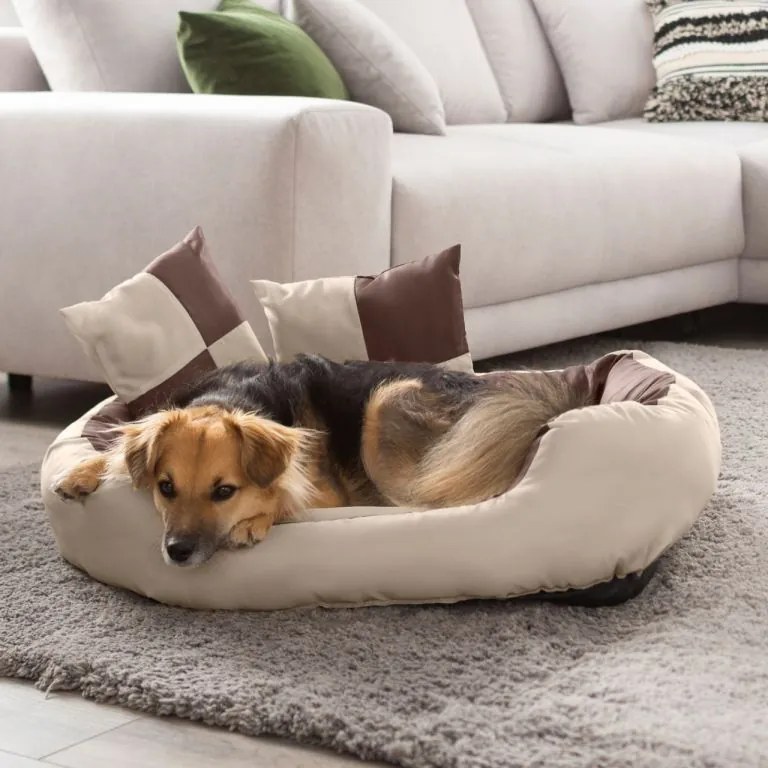 Petstuff pelech pre psa, krémovo- hnedý, 75 x 80 x 20 cm