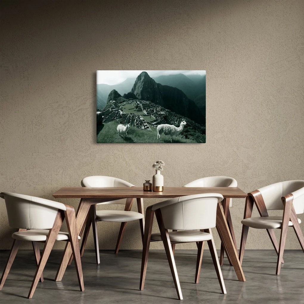 Obraz - Lamy na Machu Picchu v Peru (90x60 cm)