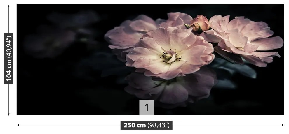 Fototapeta Vliesová Ružová ruža 152x104 cm