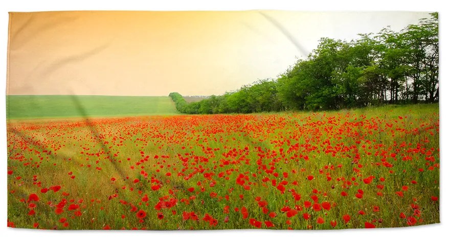 Sablio Uterák Pole vlčích makov - 30x50 cm